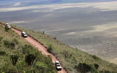 181751e16cacba7477c5e_1000x750